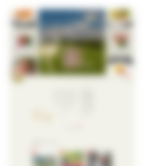 企業サイト画像